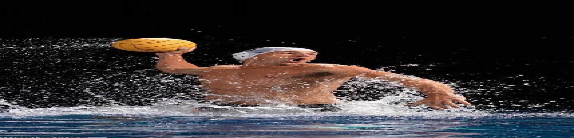 哈哈体育跨平台运动数据同步